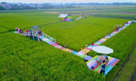 Warga Desa Kembangkan Wisata Edukasi Berbasis Pertanian