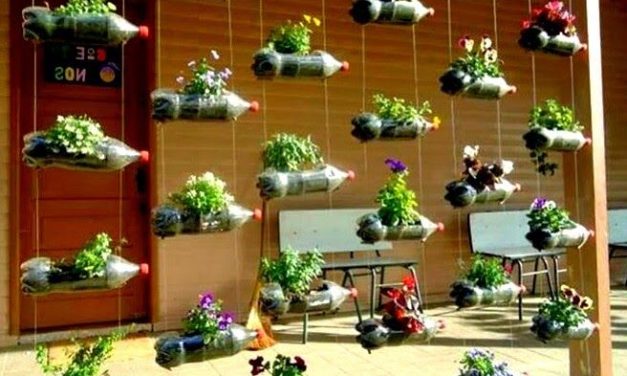 Kerajinan Ramah Lingkungan: Ide Kreatif Mengurangi Sampah