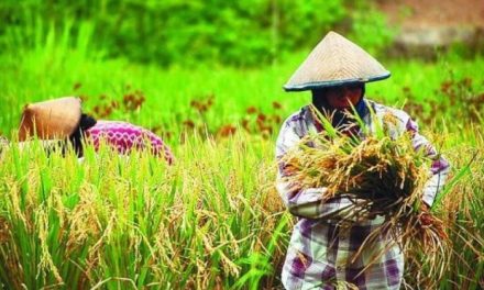 Kebijakan Pemerintah Terbaru Yang Berdampak Pada Masyarakat