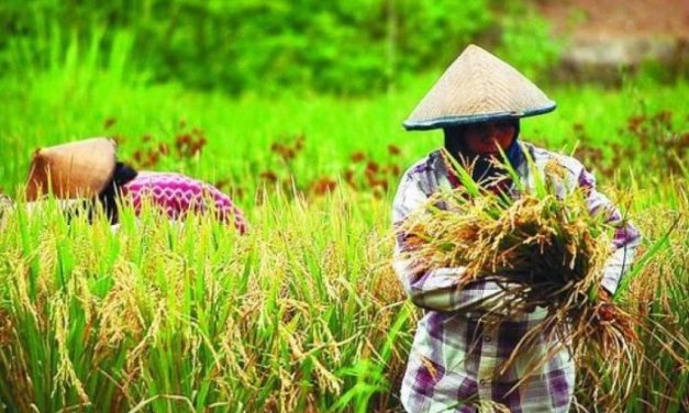 Kebijakan Pemerintah Terbaru Yang Berdampak Pada Masyarakat