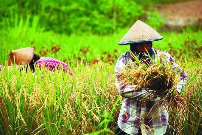 Kebijakan Pemerintah Terbaru Yang Berdampak Pada Masyarakat